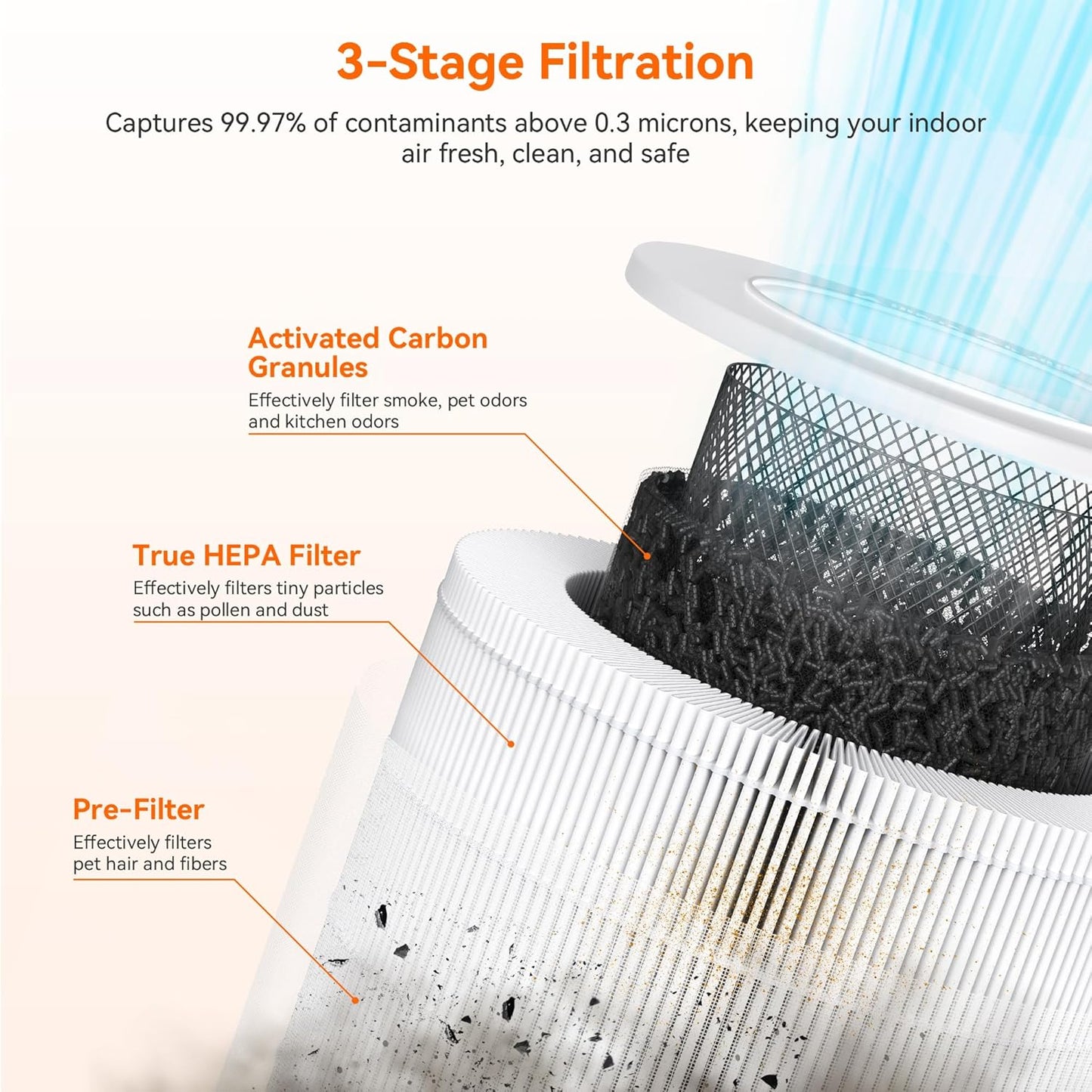 AIRROMI Air Purifiers for Bedroom Home,Up to 658 Ft²,Activated Carbon Filter Cleaner,With Fragrance Sponge for Better Sleep,Night Light,Pet Dander,Allergies,Smoke,Odor,Desktop Air Cleaner A2002Rainbow