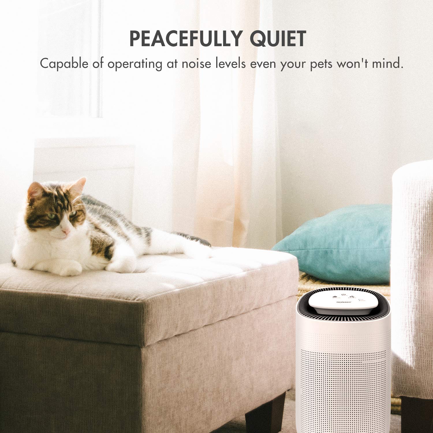 Tenergy Sorbi 1000ml Air Dehumidifier w/Purifying Function, True HEPA Filter, Auto Shutoff, Touch