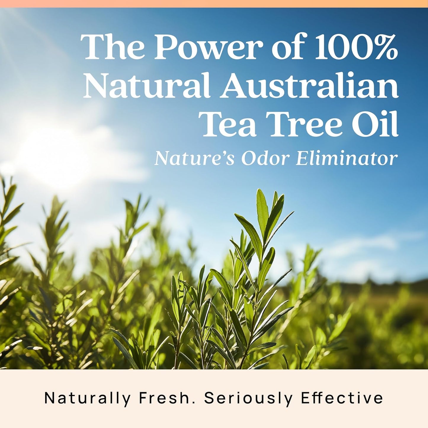 Azuna Air Freshener & Odor Eliminator for Strong Odor | 2 Room Kit Includes (2) Empty Luxe Glass Jar & 12oz Gel Refill with Tea Tree Essential Oil | Simply Citrus | Last 60-90 Days