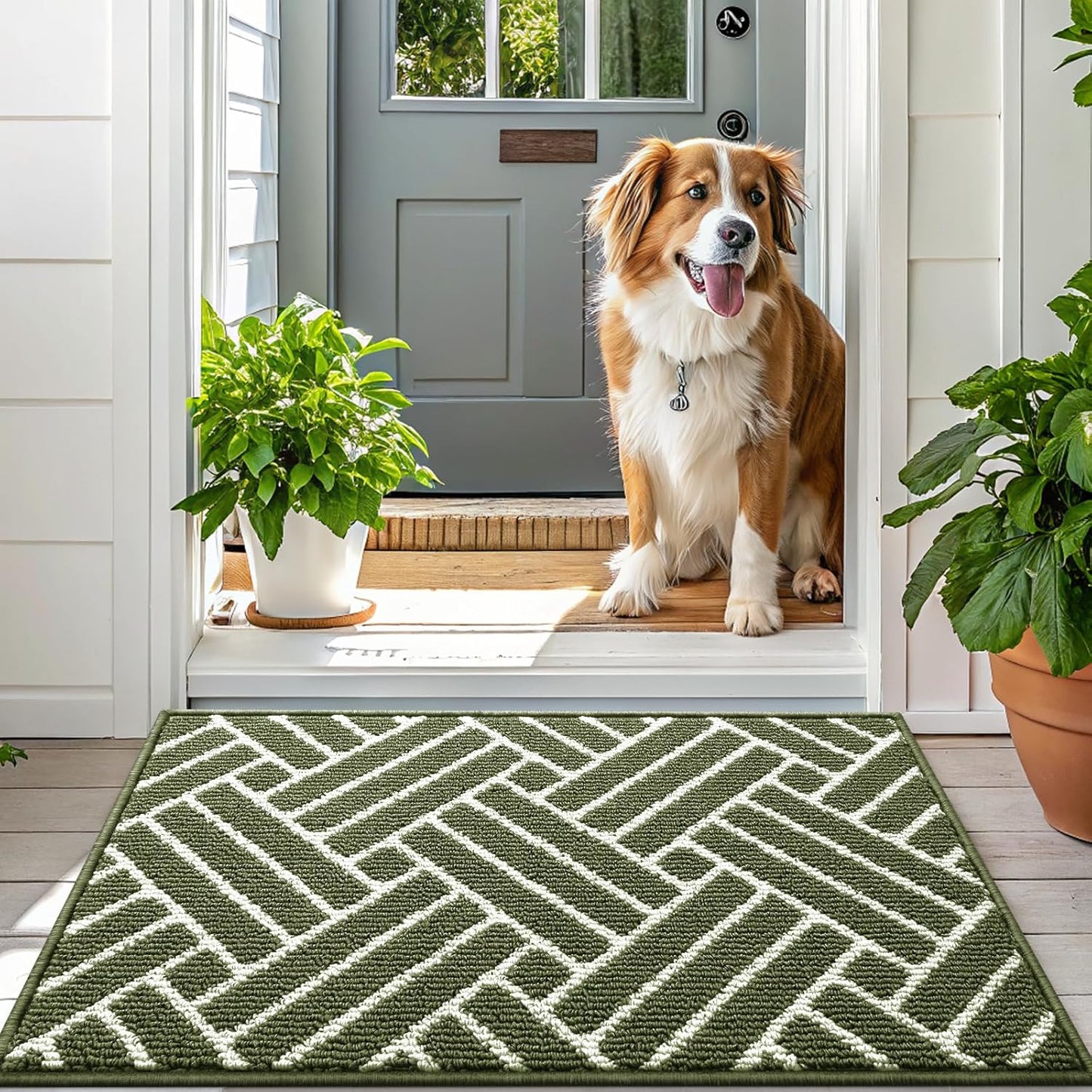 OLANLY Indoor Door Mat, 36x24 Inch, Dirt Resistant and Absorbent, Non-Slip Rubber Backing Floor Mats, Easy Clean Low-Profile Doormat for Entryway, Front Door, and Inside Entrance, Green