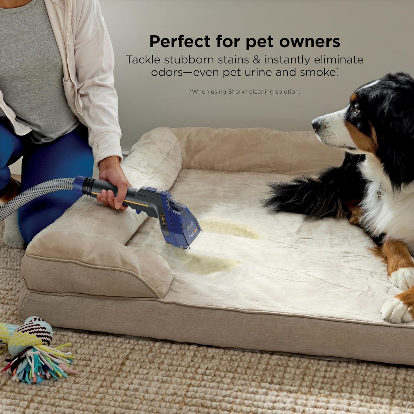 Shark CarpetXpert HairPro Upright Carpet, Area Rug & Upholstery Cleaner with Spot & Stain Remover, Perfect for Pets, Carpet Shampooer, 2 Cleaning Tools, Pet Cleaning Solution, Cobalt, EX251BRN