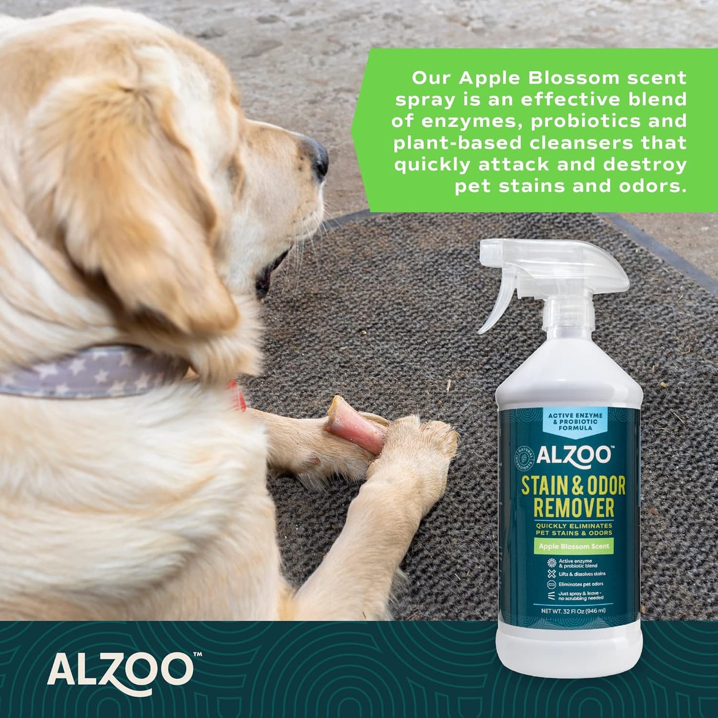 ALZOO Stain & Odor Remover, Quickly Lifts & Dissolves Pet Stains & Helps Eliminate Odors, 100% Plant-Based Active Ingredients, Apple Blossom Scent, 32 Fl. Oz Spray Bottle