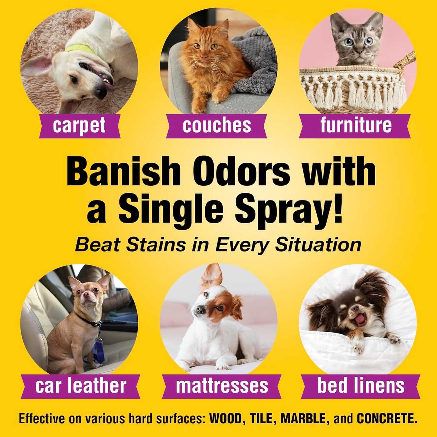 Pet Carpet Cleaner & Urine Odor Eliminator for Strong Odor - 32oz Enzyme Cleaning Spray for Cat & Dog Pee - Spot Cleaner for Carpet Upholstery, Marble, Tile, Wood - Carpet Deodorizer