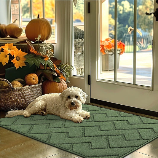 hicorfe Indoor Door Mat,Non Slip Door Mats,32"x48" Front Back Door Mat Rubber Backing,Absorbent