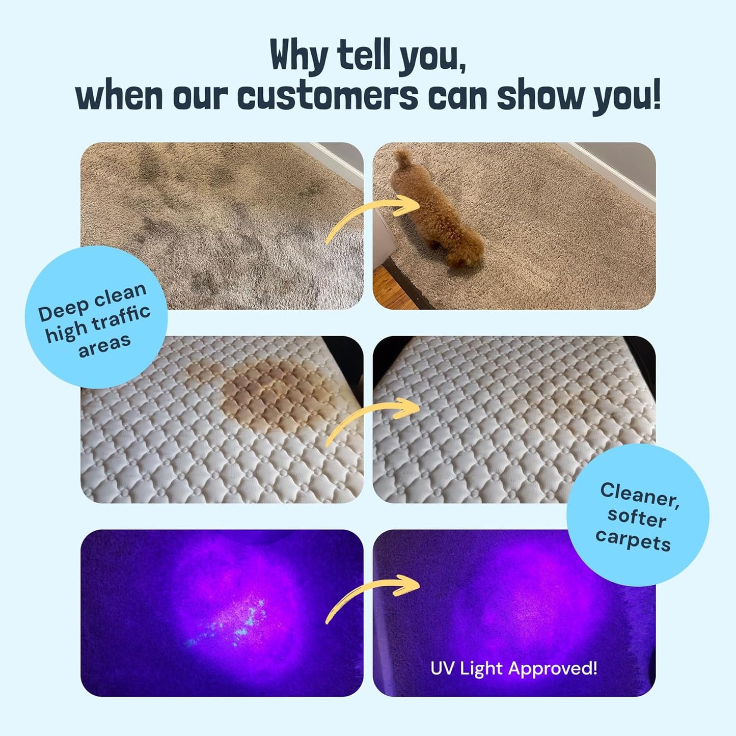 Sunny & Honey Carpet Cleaner Solution - 128 Fl Oz, Fresh Summer Scent - Deep Stain Remover & Deodorizer - Pet & Rug Cleaner - Upholstery Cleaning for Machine Use