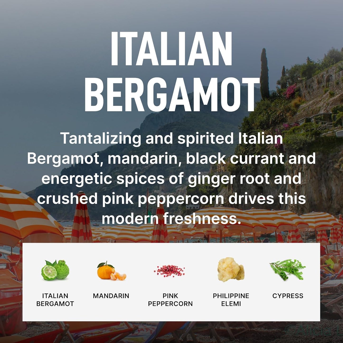 Laundry Sauce - Laundry Fabric Softener (Italian Bergamot) Luxury Fragrance, Softens & Preserves Fabric, Reduces Wrinkles, 19 Fl Oz