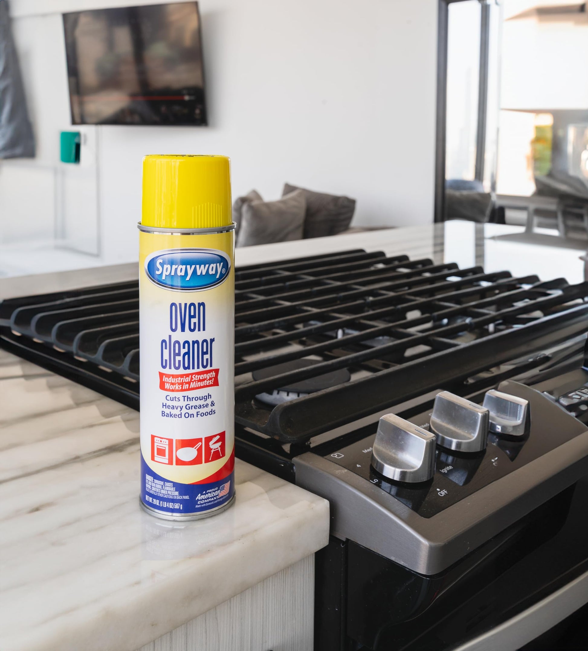 Sprayway Heavy-Duty Oven & Grill Cleaner, Removes Oil & Grease, 20 Oz, 1.25 Pound (Pack of 1), 20