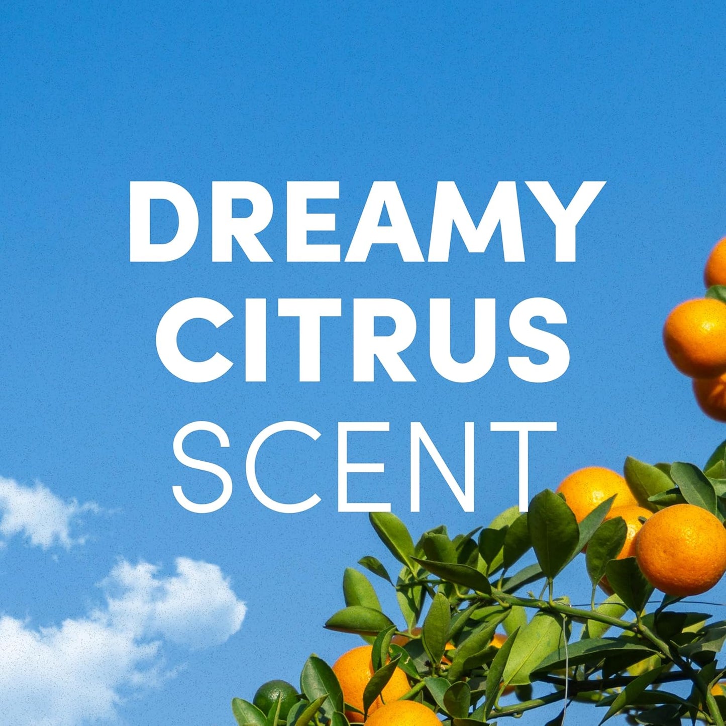 Clean Revolution Foaming Hand Soap Refill Supply Container, Ready to Use Formula, Gluten Free, Dreamy Citrus Fragrance, 128 Fl. Oz, 4 Pack