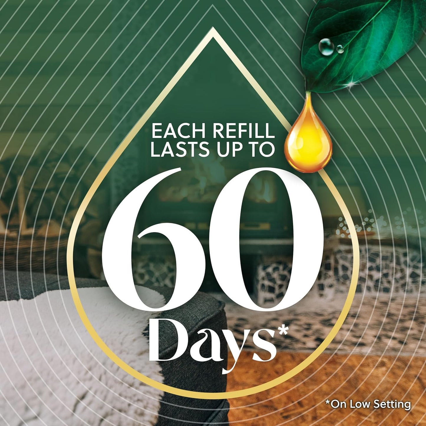 Air Wick Plug In Advanced Scented Oil,Winter Woods + Frosted Ivy,Air Fresheners for Home Long Lasting,Home Room Fresheners,Air Freshener Plug In, House Essentials for Small Spaces + Large Spaces,5 ct