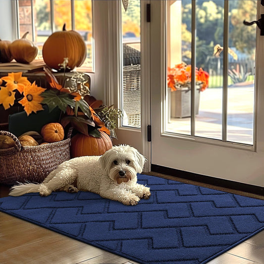 hicorfe Indoor Door Mat,Non Slip Door Mats,32"x48" Front Back Door Mat Rubber Backing,Absorbent