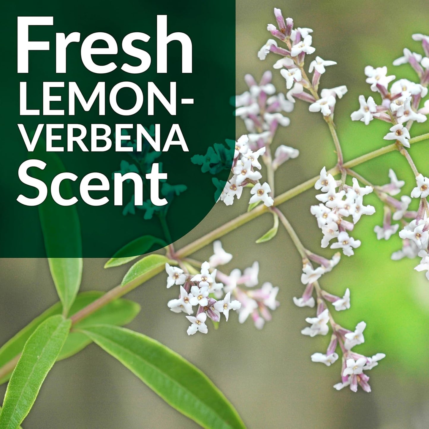 Simple Green Multi-Surface Floor Care - Cleans Hardwood, Vinyl, Laminate, Tile, Concrete and Other Wood - pH Neutral Floor Cleaner 1Gal