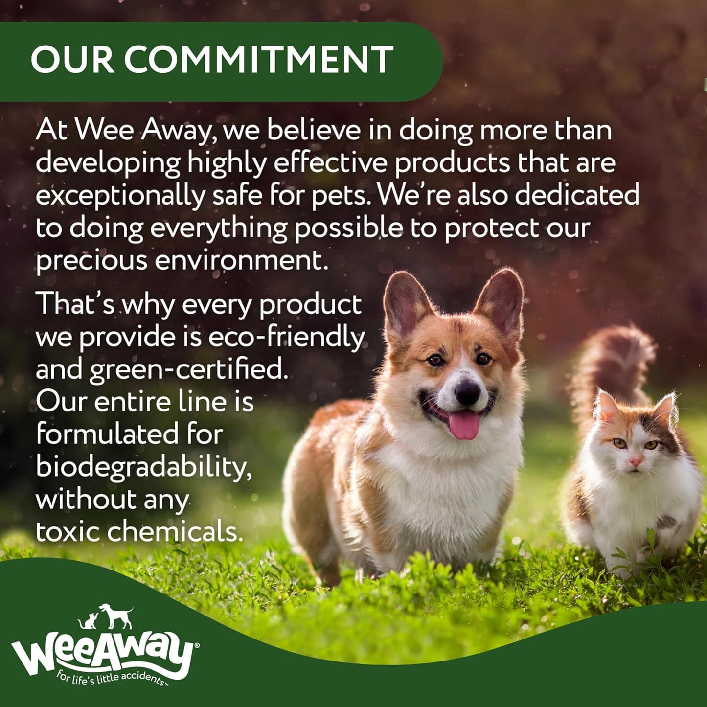 Wee Away X2 Ultra Concentrated Pet Stain and Odor Remover, Enzyme Cleaner for Cat Urine and Poop Carpet & Furniture Safe, Pet Urine Odor Eliminator Spray (Green Tea 16 oz)