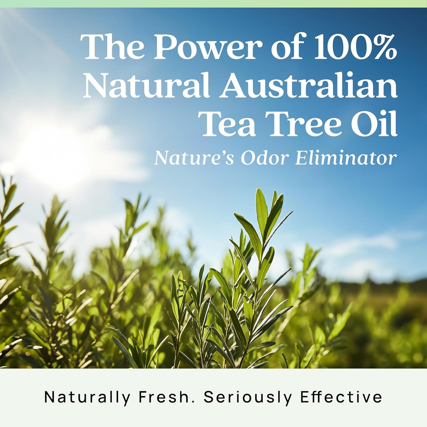 Azuna Air Freshener & Odor Eliminator for Strong Odor | 4 Room Kit Includes (4) 8 oz. Empty Luxe Glass Jars & 24oz Gel | Refill with Tea Tree Essential Oil | Natural Scent | Last 60-90 Days