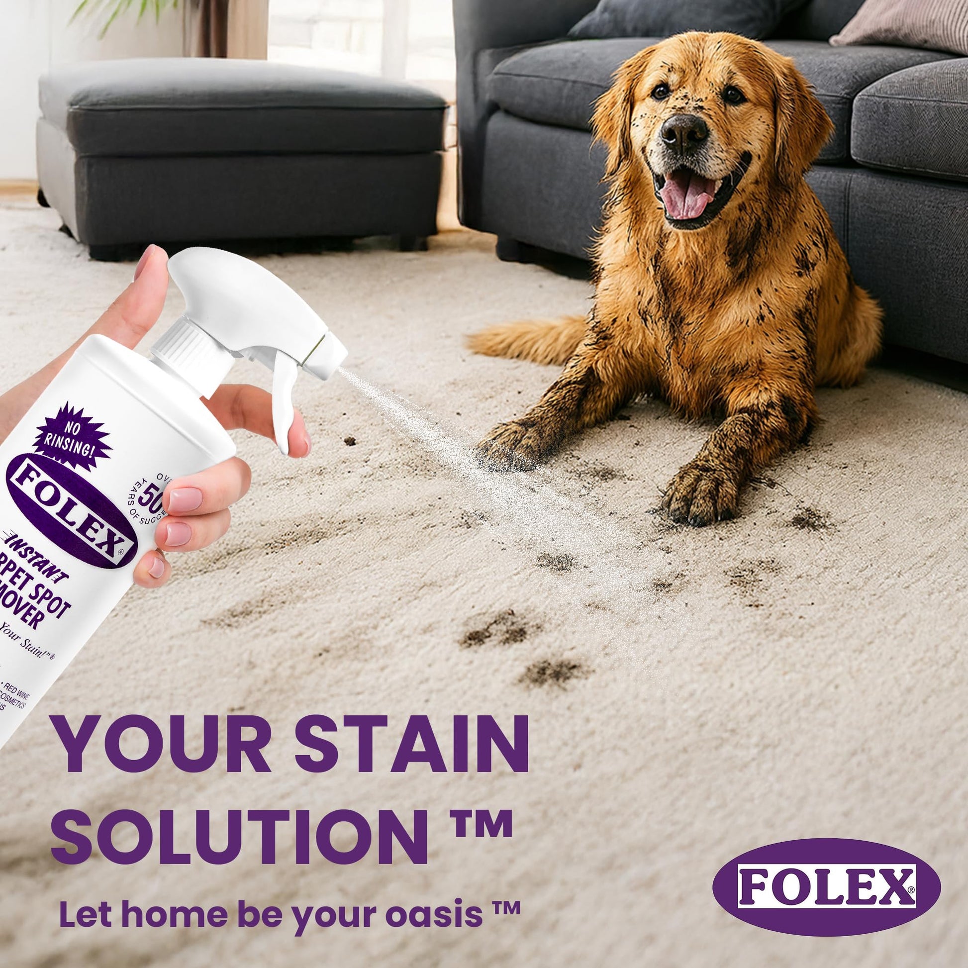 FOLEX Instant Carpet Spot Remover 32 oz – Powerful Stain Remover for Carpets, Upholstery & Rugs