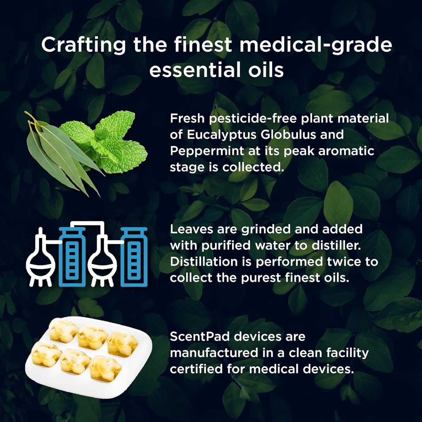 Mypurmist ScentPad Eucalyptus & Peppermint Vapor Pads - Vaporizer Refill Pad for Ultrapure Devices, Essential Oil Aromatherapy for Humidifier - Steam Inhaler for Sinus Congestion Relief, 24 Reservoirs