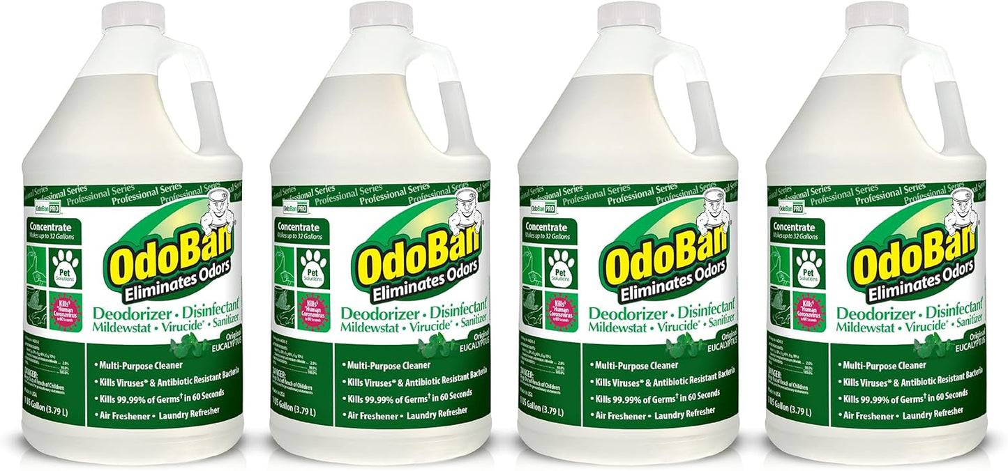 OdoBan Professional Disinfectant and Odor Eliminator Concentrate, Made in the USA, Original Eucalyptus Scent, 4-Pack, 1 Gallon Each