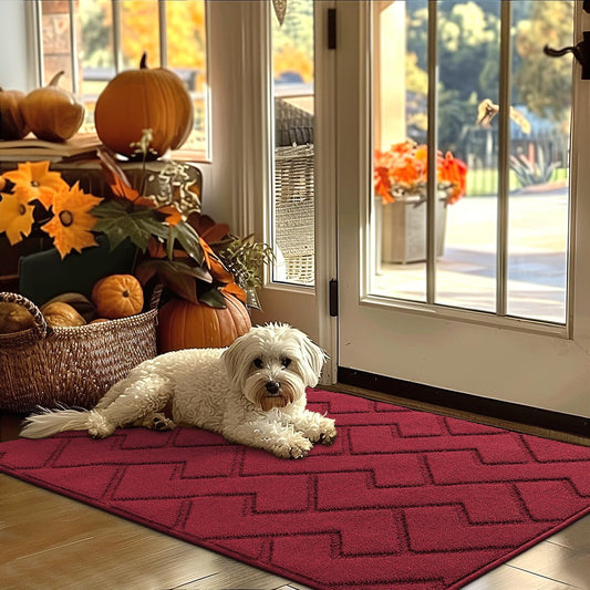hicorfe Indoor Door Mat,Non Slip Door Mats,32"x48" Front Back Door Mat Rubber Backing,Absorbent