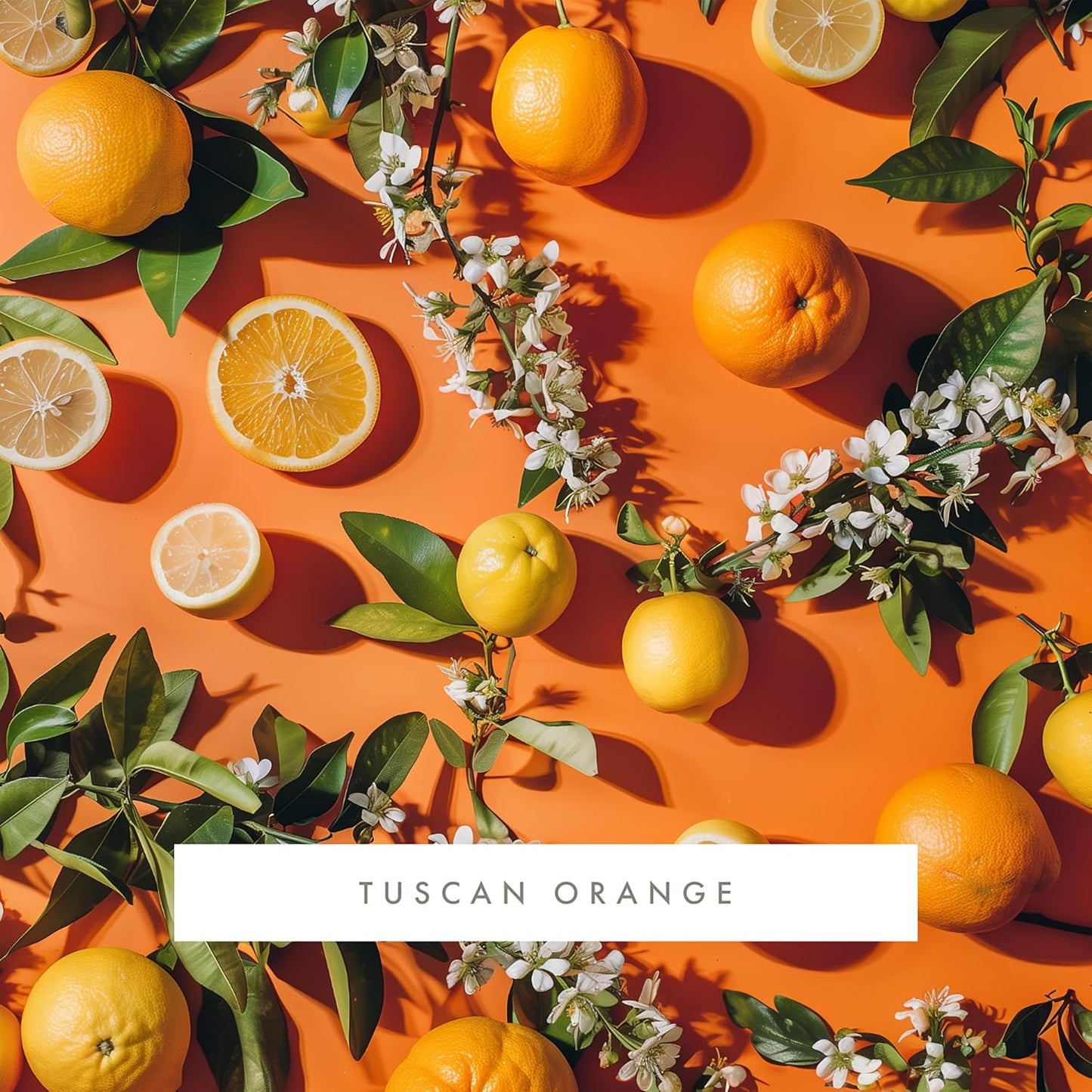 ScentAir Whisper Home Monthly Plug-in Refill, Fragrance Cartridge for Home and Office, Tuscan Orange