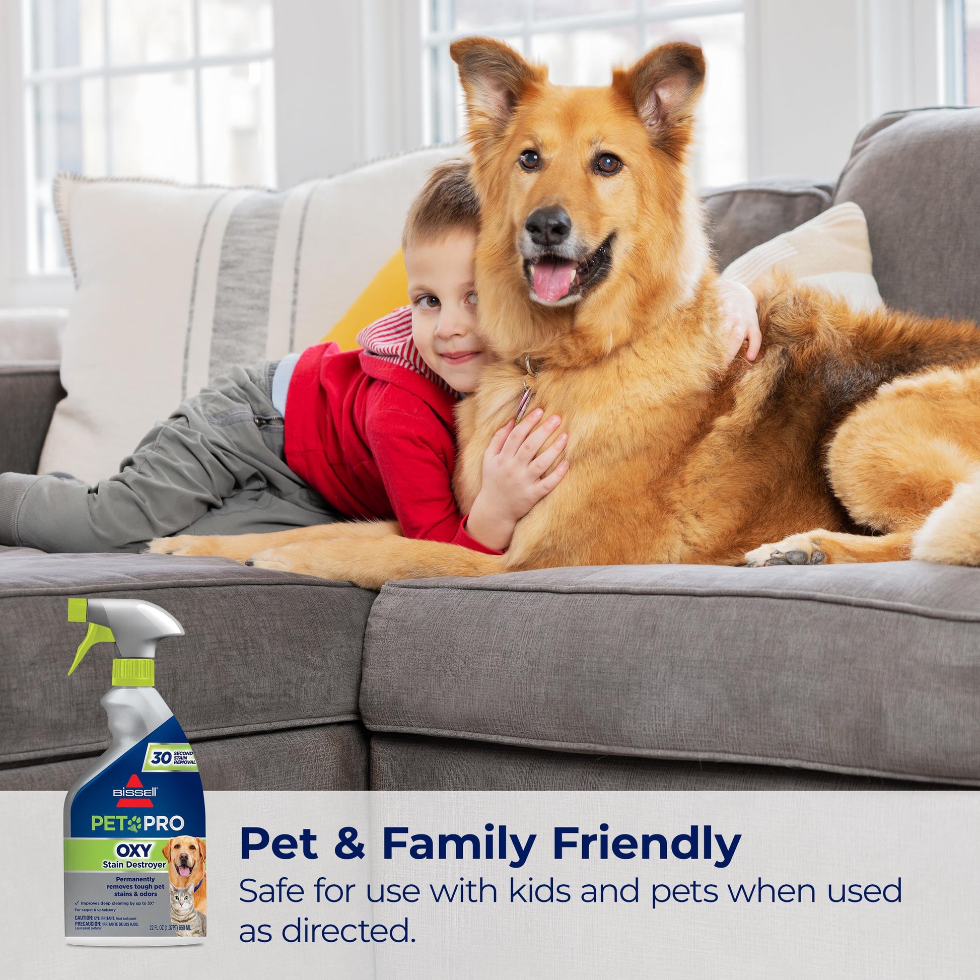 Bissell PET PRO OXY Stain Destroyer for Carpet and Upholstery, 22 oz, 2 pack, 17739