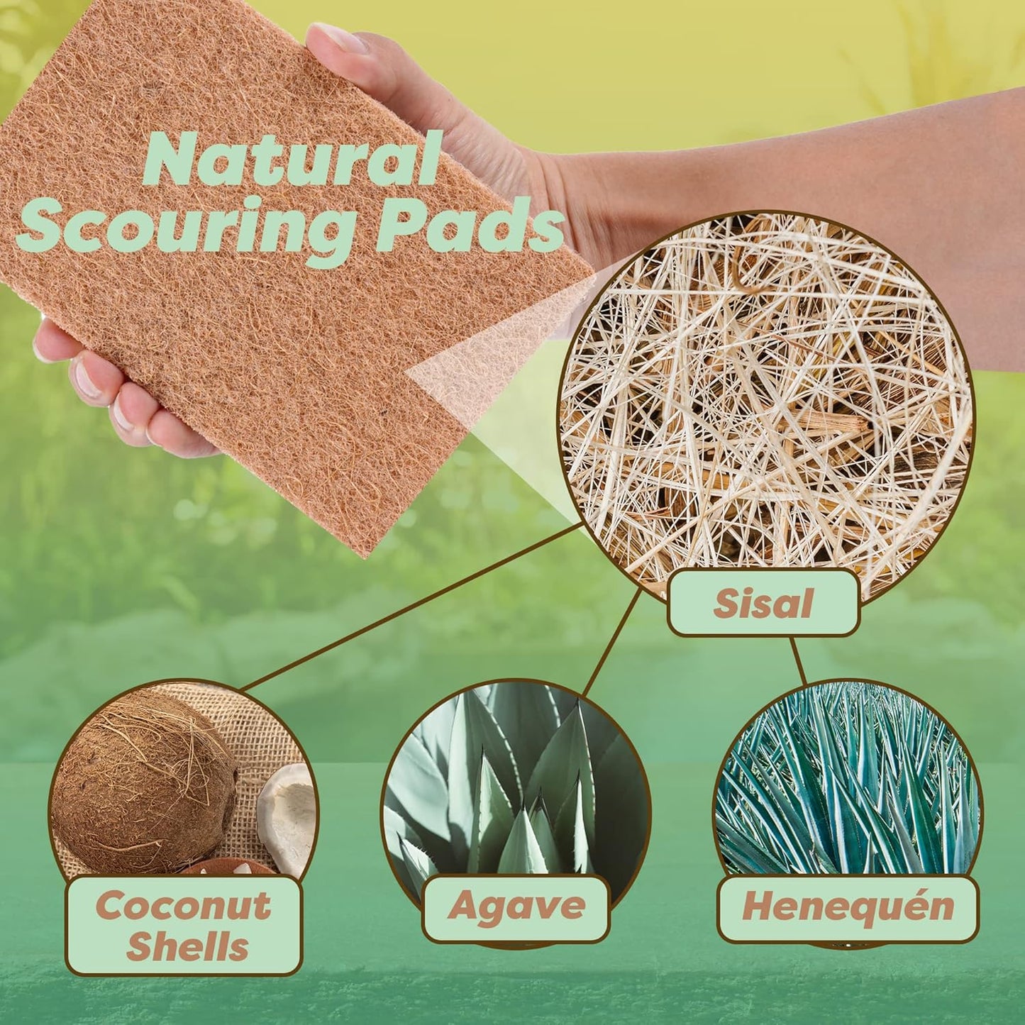 SCRUBIT 24 Natural Scouring Pads - Eco Friendly Scrubbing Pads for Kitchen Cleaning, Dishes, and Pots - Non-Scratch Kitchen Scrubbers - 100% Natural Sisal Fibers (24 Pack)