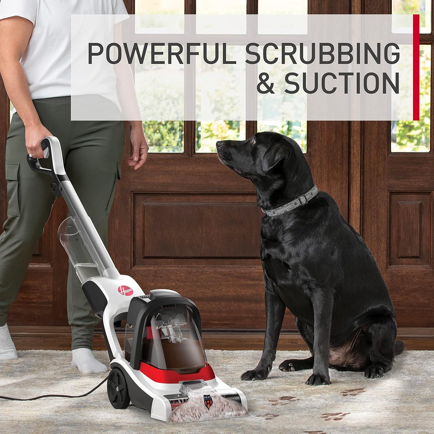 Hoover PowerDash Pet+ Compact Carpet Cleaner Machine, Lightweight Carpet Shampooer Machine, Pair with a Hoover Carpet Cleaner Solution for a Bright, Refreshed Home
