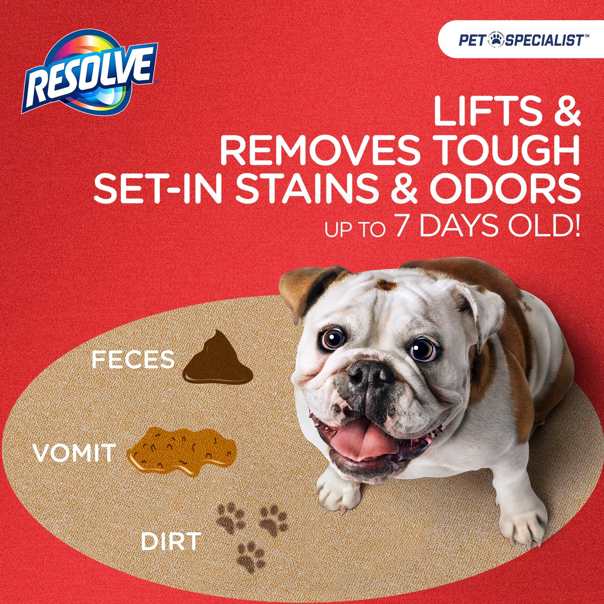 Resolve Pet Specialist Heavy Traffic Foam Carpet Cleaner, Pet Stain & Odor Remover, 22 oz Cans, 2