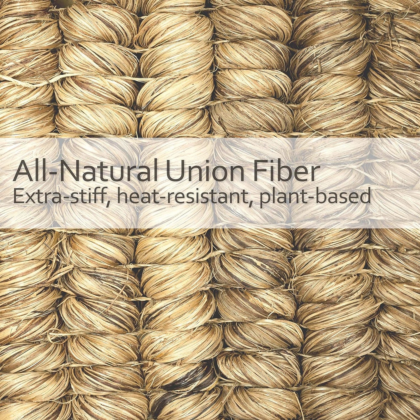 REDECKER Curved Dish Brush, Natural Union Plant Fiber Bristles, Ergonomic Design with Oiled Beechwood Handle, 9-1/4 Inches, Set of 2, Made in Germany - Natural Bristle Dish Brush